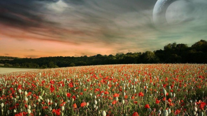 j***aer总是说有分布式了，单体性能就不重要了，这种说法对吗？